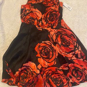 Poppy Donna Morgan Dress - never worn